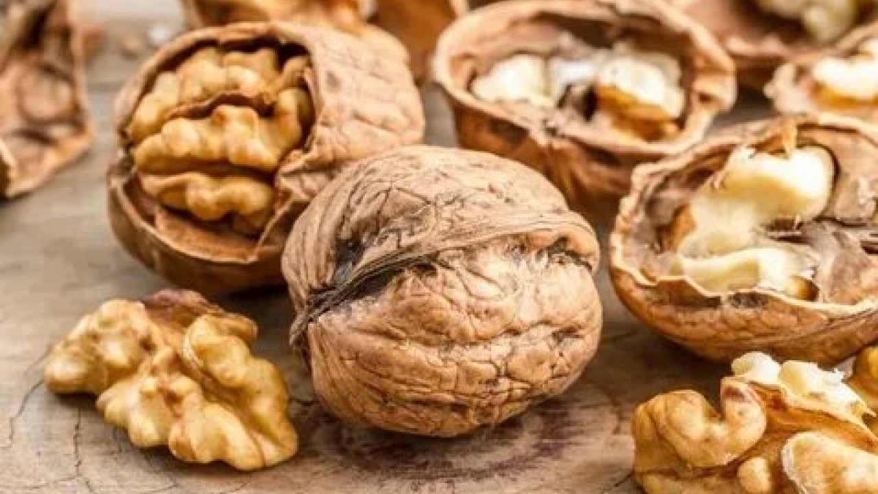 Foto - Hangi hastalığa hangi besin iyi gelir! İşte şifa kaynağı doğal çözümler!