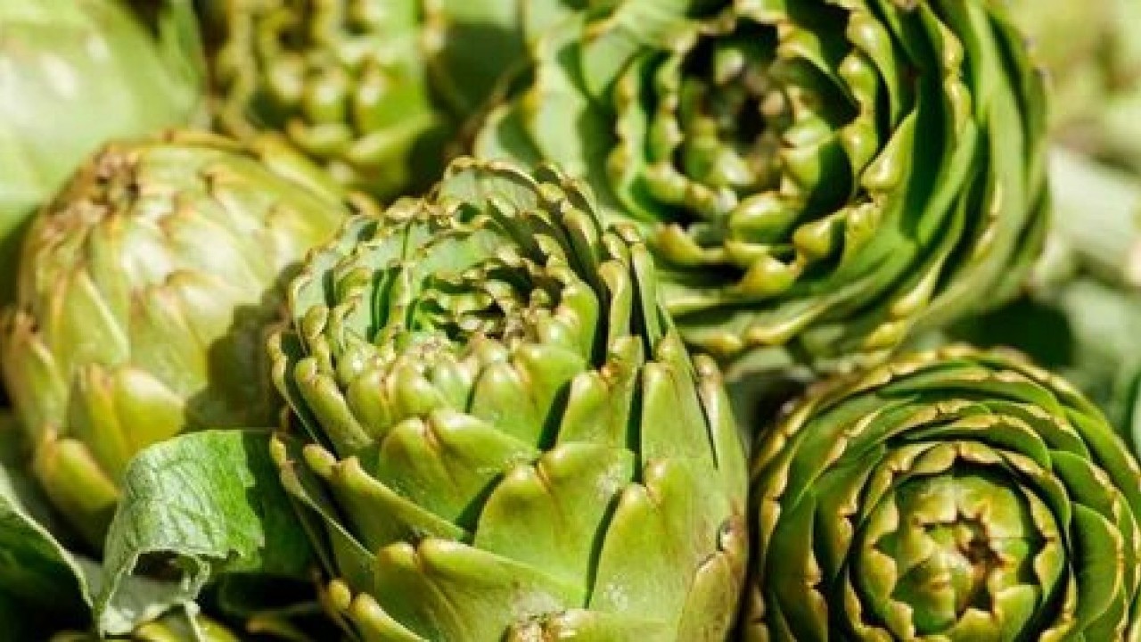 Foto - Hangi hastalığa hangi besin iyi gelir! İşte şifa kaynağı doğal çözümler!