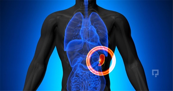 Foto - Hangi hastalığa, hangi bitki iyi geliyor?