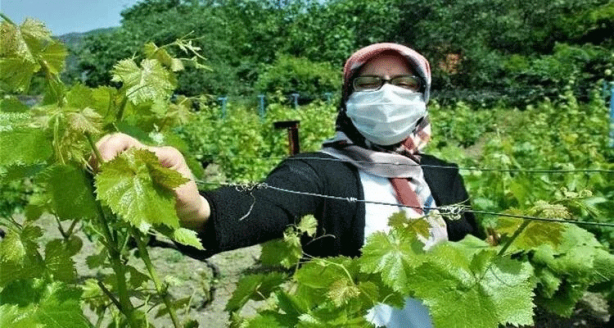 Foto - Hangi ilimiz neyiyle meşhur? Türkiye'nin şehirleri dünyaya böyle damga vurdu