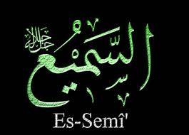 Foto - Hangi isim hangi organa şifa veriyor?