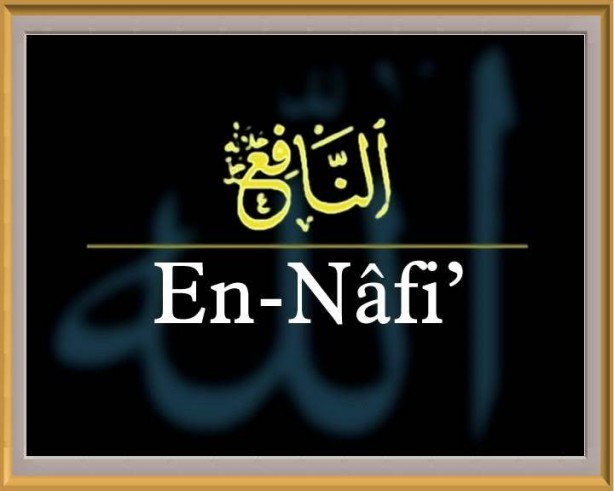 Foto - Hangi isim hangi organa şifa veriyor?