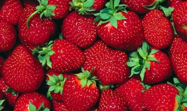 Foto - Hangi meyve hangi hastalığa iyi geliyor! Uzmanların önerisi...