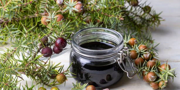 Foto - Hangi pekmez nelere faydalı? İbrahim Saraçoğlu ve Ahmet Maranki andız pekmezinin faydalarını şöyle sıraladılar
