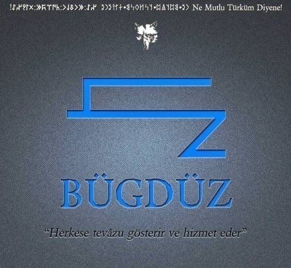 Foto - Hangi Türk boyuna mensupsun? İşte Türklerin soy ağacı listesi ve il il dağılımları