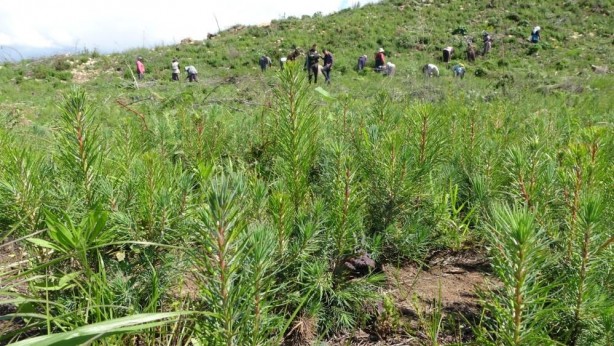 Foto - Hani inşaatlar başlayacaktı! ‘Sözde çevreciler’ bakıp bakın utansın
