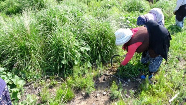 Foto - Hani inşaatlar başlayacaktı! ‘Sözde çevreciler’ bakıp bakın utansın
