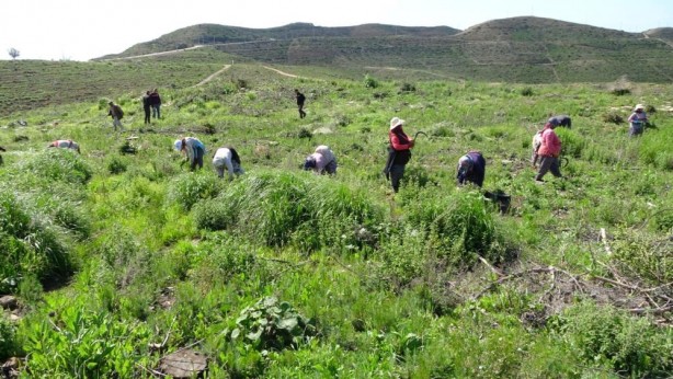 Foto - Hani inşaatlar başlayacaktı! ‘Sözde çevreciler’ bakıp bakın utansın
