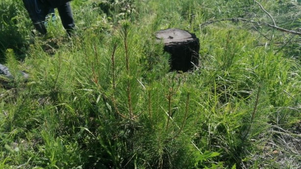 Foto - Hani inşaatlar başlayacaktı! ‘Sözde çevreciler’ bakıp bakın utansın