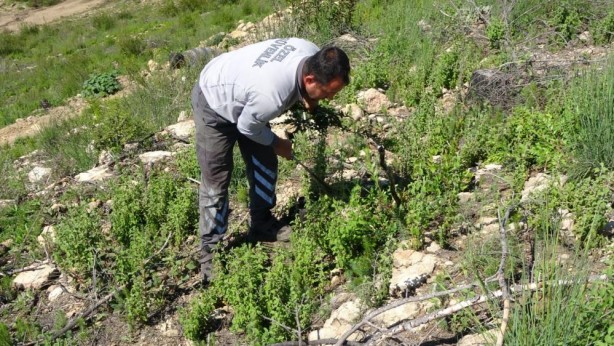 Foto - Hani inşaatlar başlayacaktı! ‘Sözde çevreciler’ bakıp bakın utansın