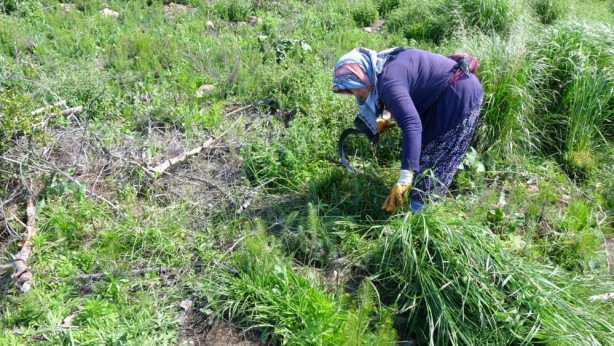 Foto - Hani inşaatlar başlayacaktı! ‘Sözde çevreciler’ bakıp bakın utansın