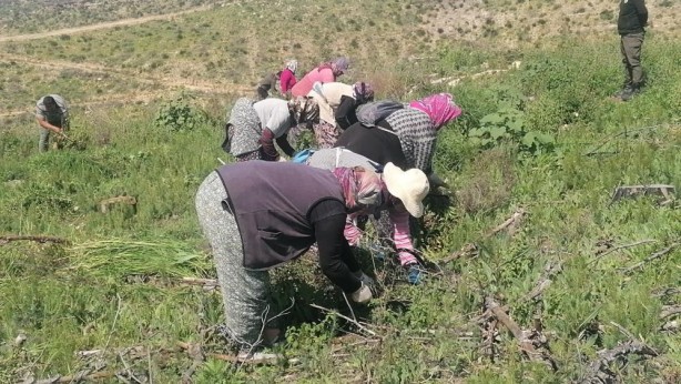 Foto - Hani inşaatlar başlayacaktı! ‘Sözde çevreciler’ bakıp bakın utansın