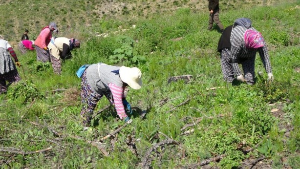 Foto - Hani inşaatlar başlayacaktı! ‘Sözde çevreciler’ bakıp bakın utansın
