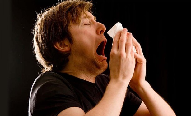 Foto - Hapşırmayı durdurmanın basit yolları