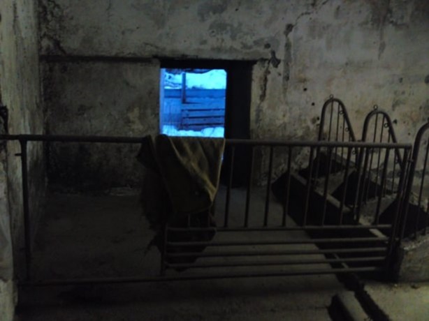 Foto - Harabeye dönen ahırın inanılmaz değişimi