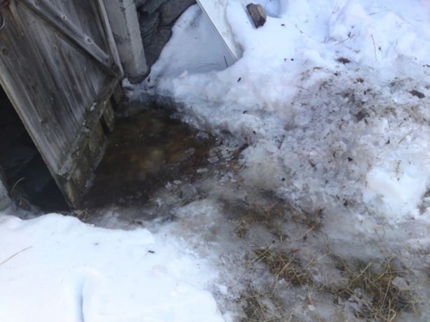 Foto - Harabeye dönen ahırın inanılmaz değişimi