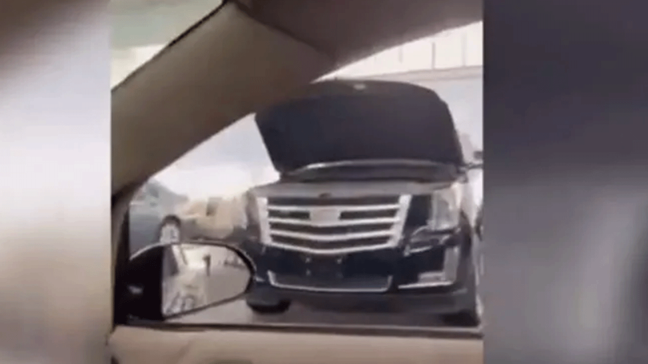 Foto - Haramzade katil... Esed'in garajındaki araçlar ağızları açık bıraktı