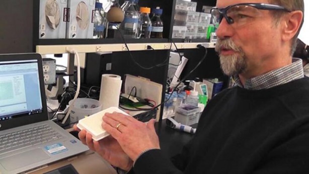 Foto - Küreselciler harekete geçti! 'Yalancı cennet'i resmen kuruyorlar