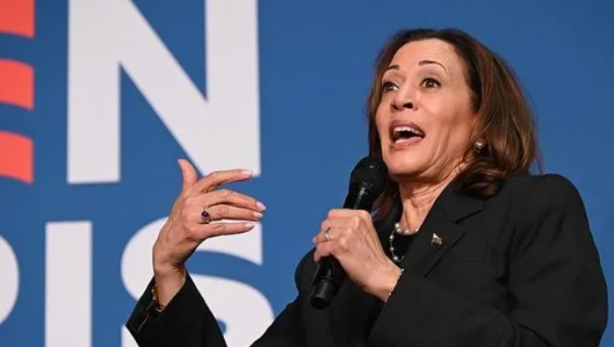 Foto - Harris’in işi zor! Demokrat Parti bölündü