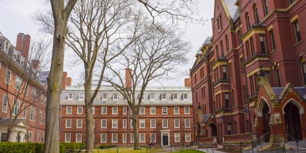 Foto - Harvard Üniversitesi açıkladı! Beyin sağlığı için 6 süper besin: Meşhur gizli besinler çare olacak! ortaya çıktı