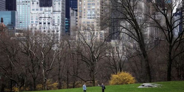 Foto - Harvardlı bilim insanından akıl sağlığı için 6 besin önerisi!