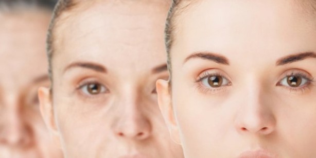 Foto - Harvard/MIT Bilim İnsanları bu iddia ile şaşırtacak: Yaşlanmayı tersine çevireceğiz! İşte çok merak edilen detay