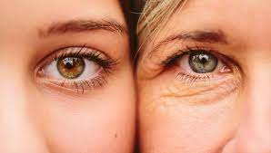 Foto - Harvard/MIT Bilim İnsanları bu iddia ile şaşırtacak: Yaşlanmayı tersine çevireceğiz! İşte çok merak edilen detay