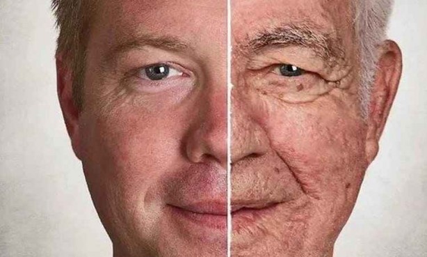 Harvard/MIT Bilim İnsanları bu iddia ile şaşırtacak: Yaşlanmayı tersine çevireceğiz! İşte çok merak edilen detay