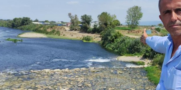 Foto - Hasada sayılı günler kala binlerce dönüm domates kurudu