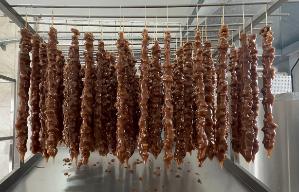 Foto - Hasat başladı! Bu ceviz pestil ve köme yapımında kullanılıyor