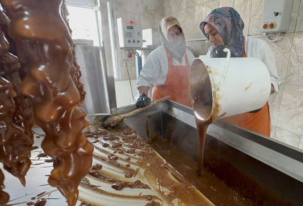 Foto - Hasat başladı! Bu ceviz pestil ve köme yapımında kullanılıyor