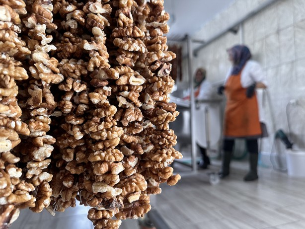 Foto - Hasat başladı! Bu ceviz pestil ve köme yapımında kullanılıyor