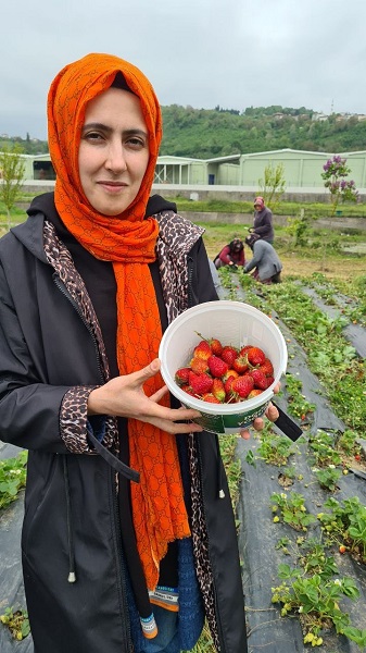 Foto - Hasat için gün sayıyorlar