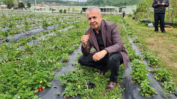Foto - Hasat için gün sayıyorlar