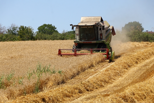 Foto - Hasat mesaisinde sona gelindi