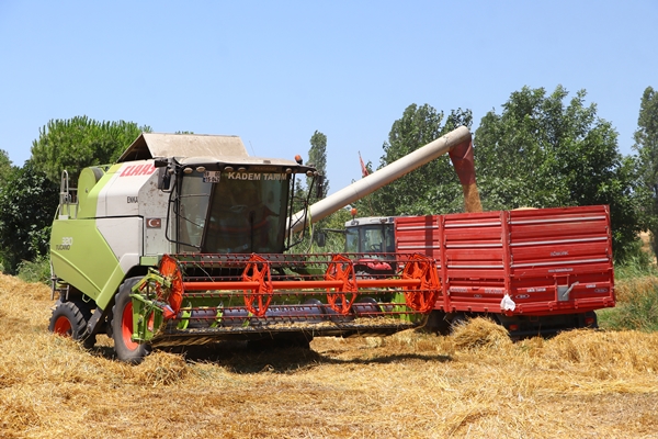 Foto - Hasat mesaisinde sona gelindi