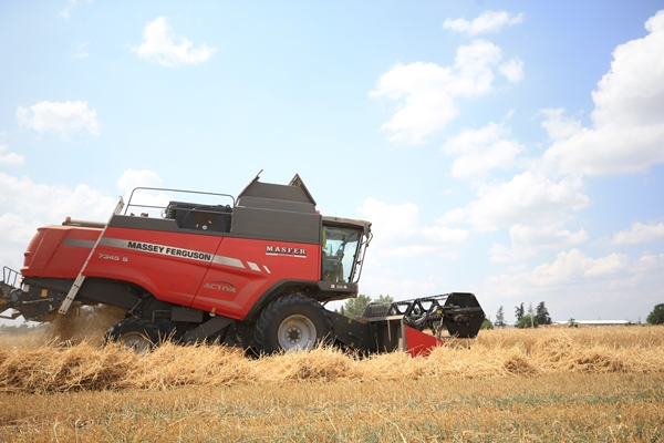 Foto - Hasat mesaisinde sona gelindi