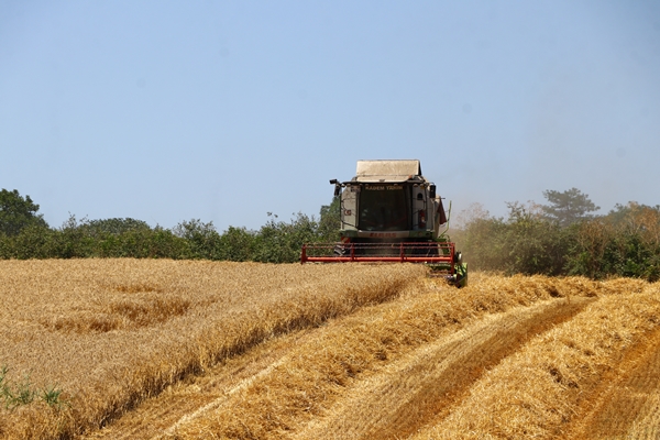 Foto - Hasat mesaisinde sona gelindi