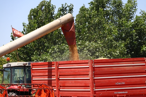 Foto - Hasat mesaisinde sona gelindi