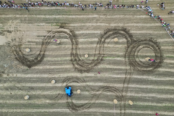 Foto - Hasat sezonunun sonunda traktörler yarıştı