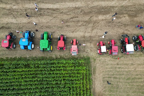 Foto - Hasat sezonunun sonunda traktörler yarıştı