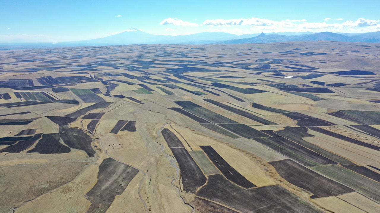 Hasat sonrası büyüleyen manzara! Tarlalar “halı desenine” büründü