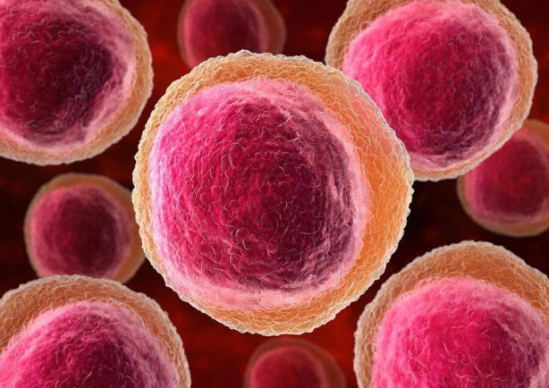 Foto - Hasta olmadan önleminizi alın! Bağışıklık sistemini güçlendirin