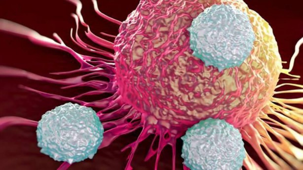 Foto - Hasta olmadan önleminizi alın! Bağışıklık sistemini güçlendirin