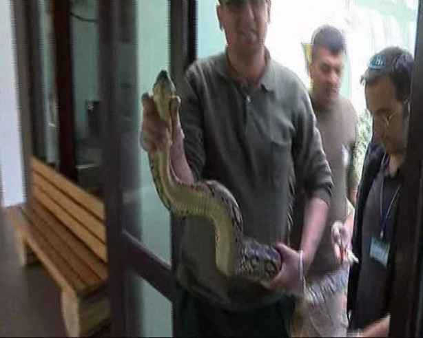 Foto - Hastalanan dev yılana nefes kesen operasyon