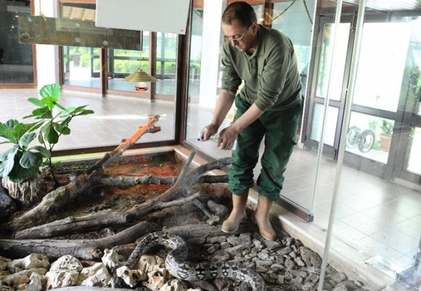 Foto - Hastalanan dev yılana nefes kesen operasyon