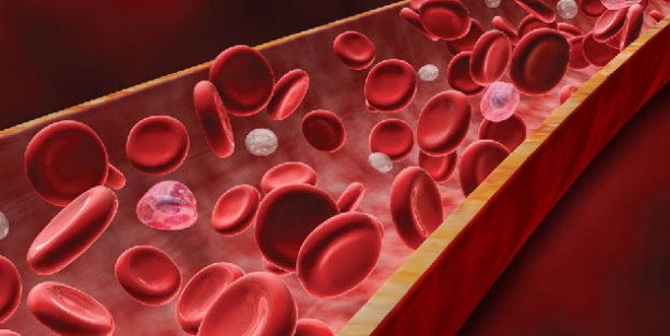 Foto - Hastalanmadan uzun bir ömür geçirmenin sırrı: Nitrik oksit