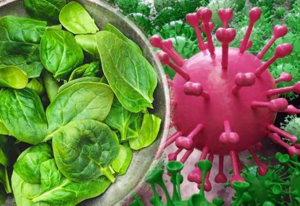 Hastalığı, doktor yolunu unutturuyor! Bağışıklığı zirveye çıkaran kış aylarının süper gıdası