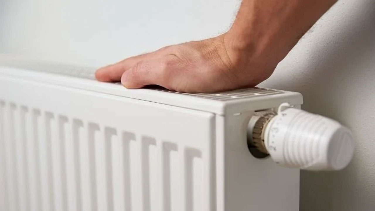 Hastalıklara karşı doğal yöntem! Bu karışımı peteğin üstüne koyunca bakın ne oluyor