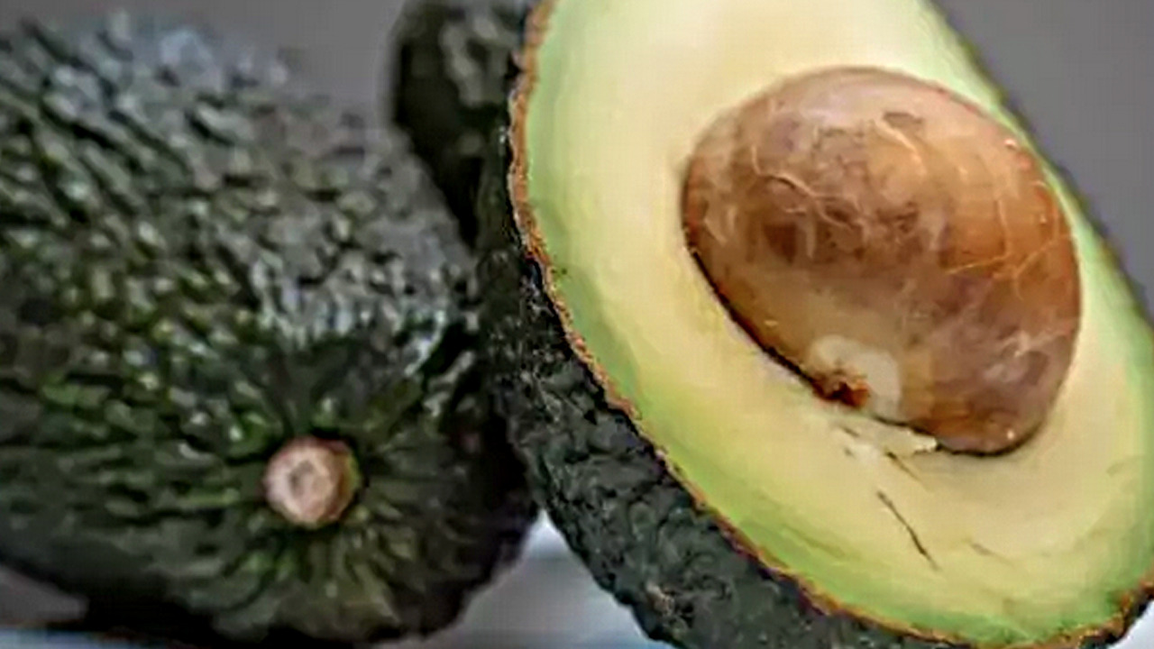 Hastalıklara karşı koruyucu güç! Her şeyi yok edecek: Kalp, cilt, göz, beyin! İyi gelmediği şey yok! Uzmanı ifade etti